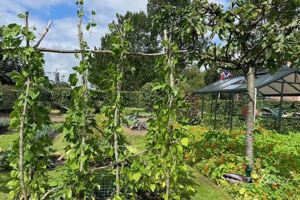 Bonen de hoogte in