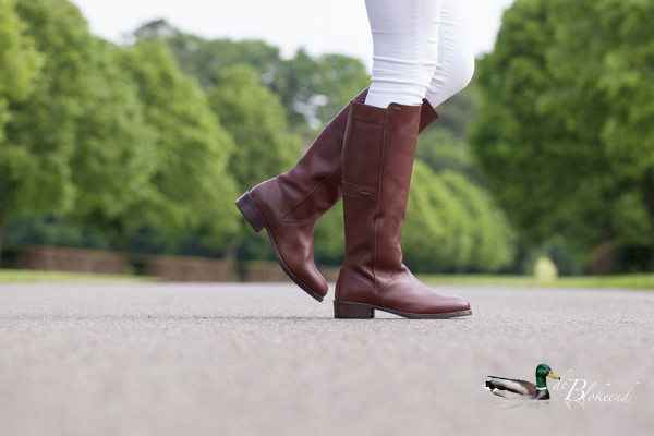 Eind september 2015  in de  Dubarry collectie
